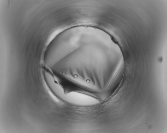 X0000093111383200710241233