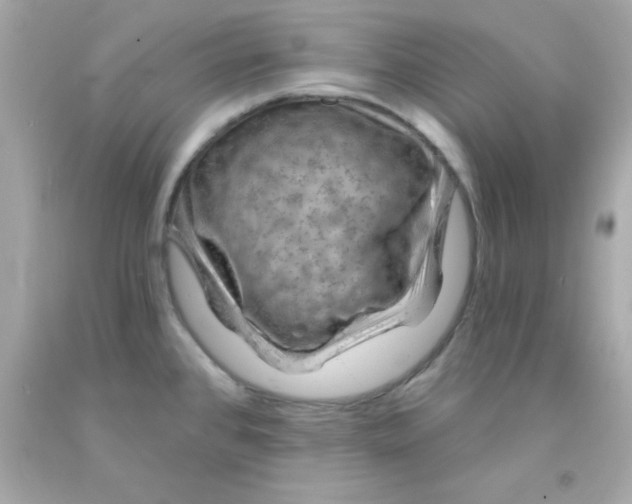 X0000093111384200710241233