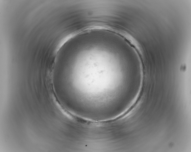 X0000093111385200710241233