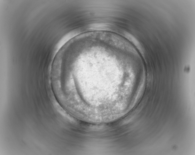 X0000093111386200710241233