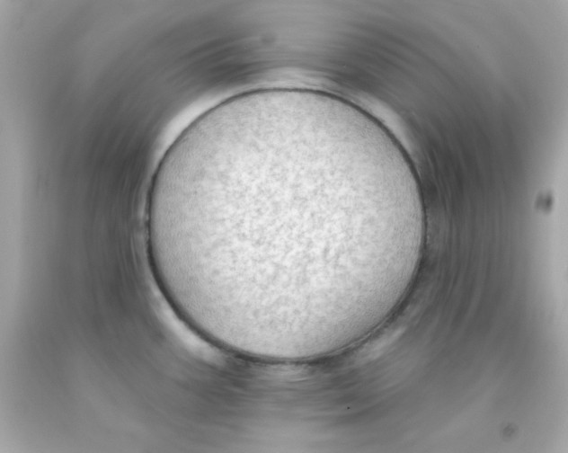 X0000093111387200710241233