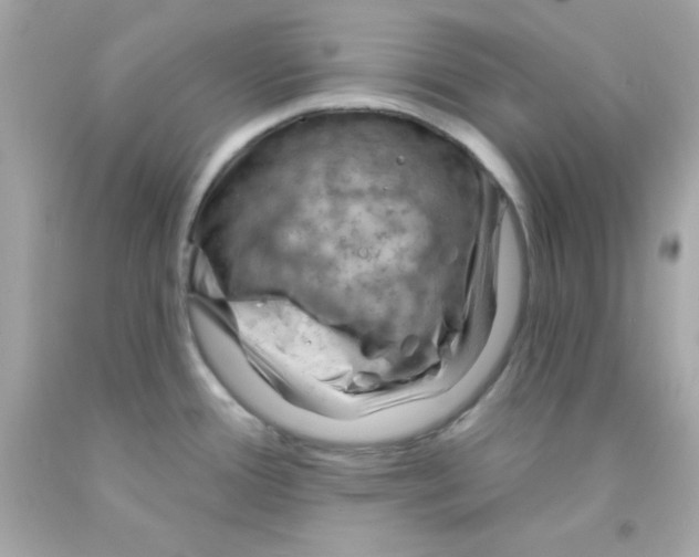 X0000093111388200710241233