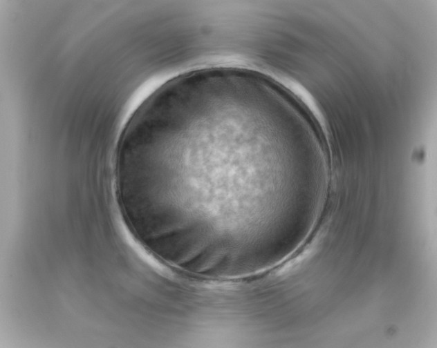 X0000093111389200710241233