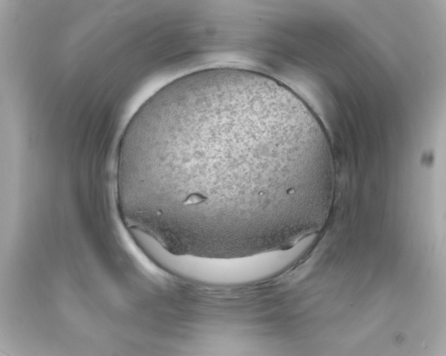 X0000093111391200710241233