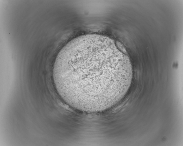 X0000093111393200710241232