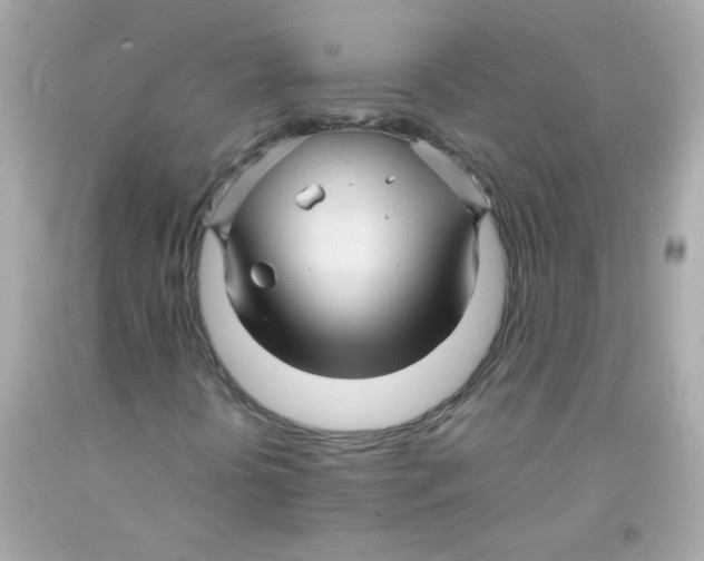 X0000093111394200710241232