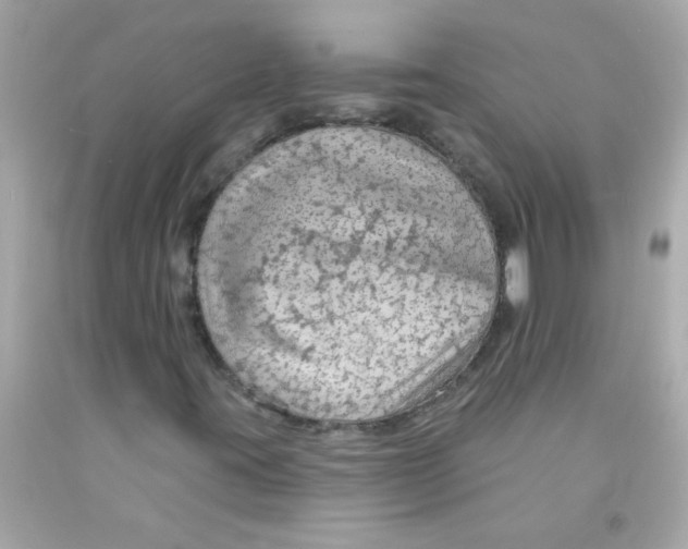 X0000093111395200710241232