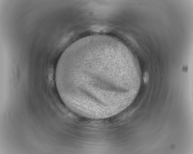 X0000093111396200710241232