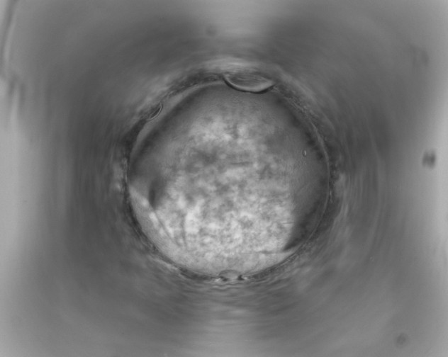 X0000093111397200710241232