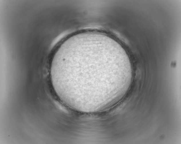 X0000093111400200710241232