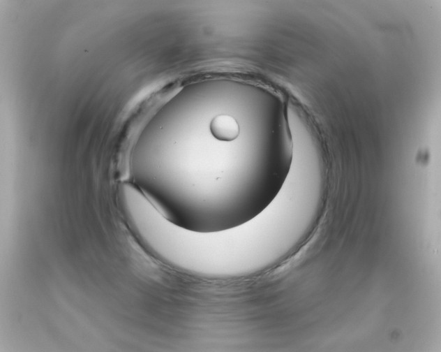 X0000093111402200710241232