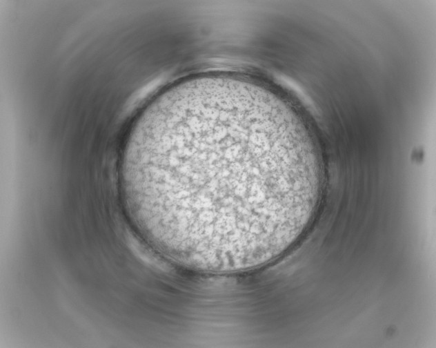 X0000093111403200710241232