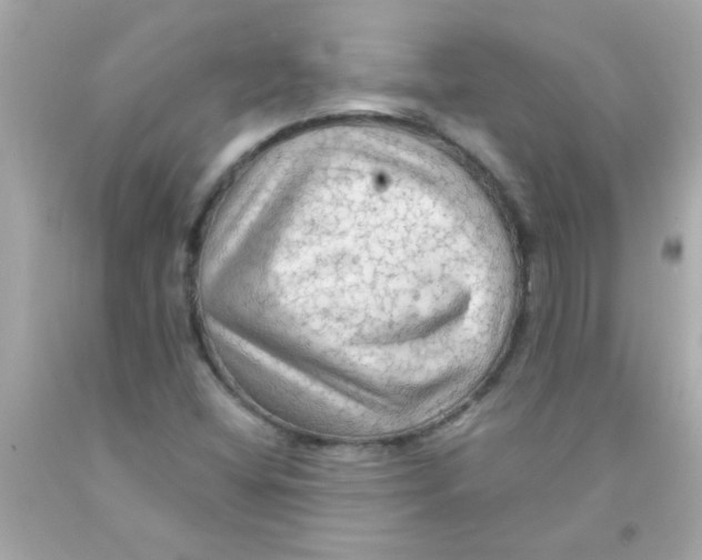 X0000093111404200710241232