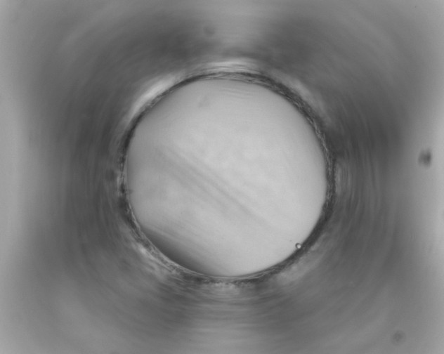 X0000093111405200710241232