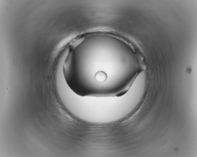 X0000093111406200710241232