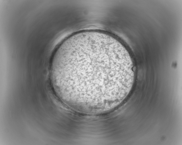 X0000093111407200710241232