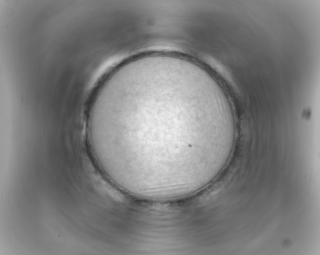 X0000093111408200710241232