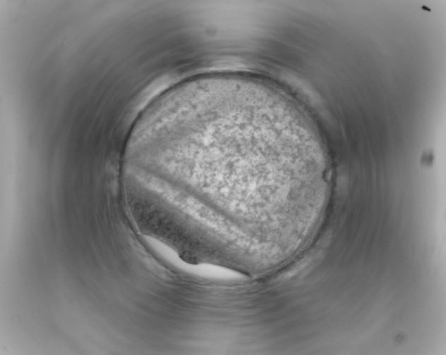 X0000093111409200710241232