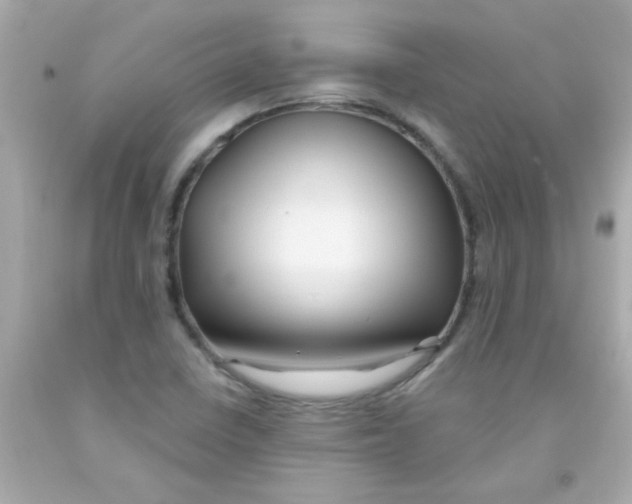 X0000093111410200710241232