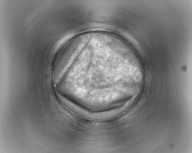 X0000093111411200710241232