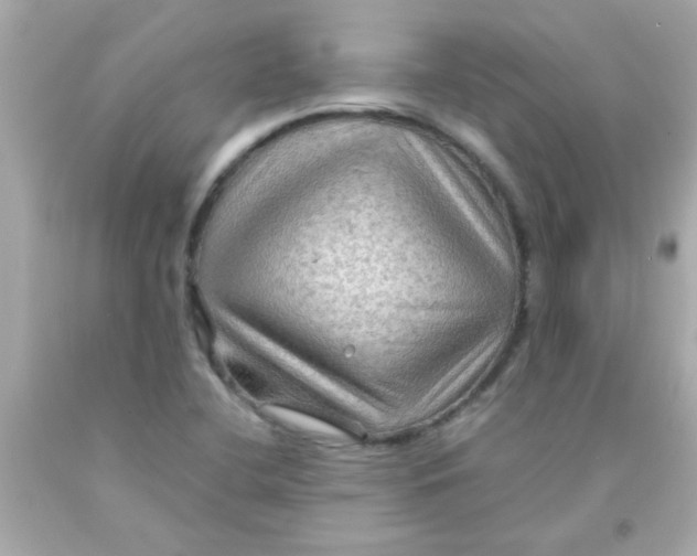 X0000093111412200710241232