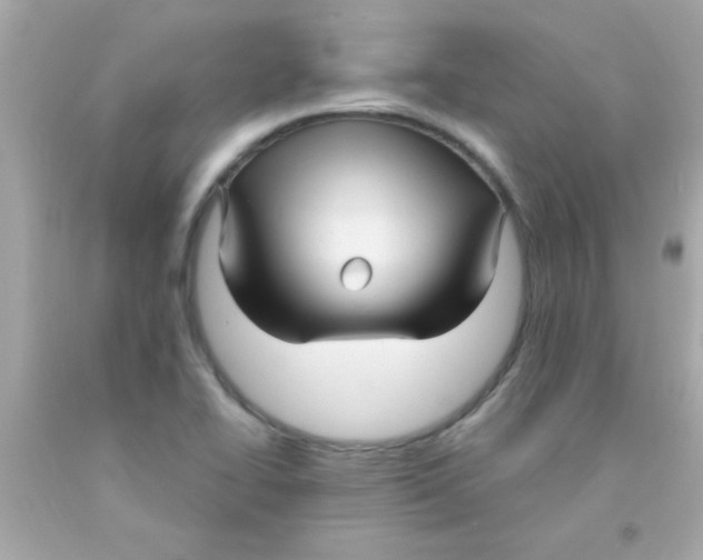 X0000093111414200710241232