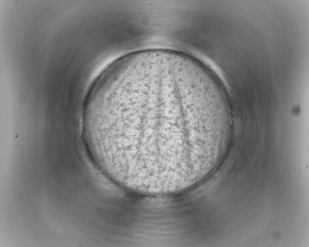 X0000093111415200710241233