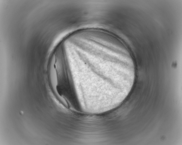 X0000093111416200710241233