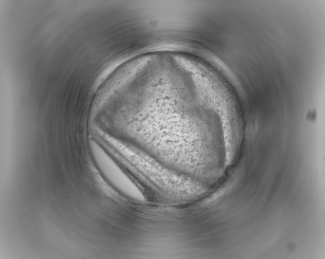 X0000093111417200710241233