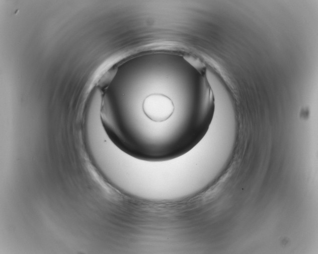 X0000093111418200710241233