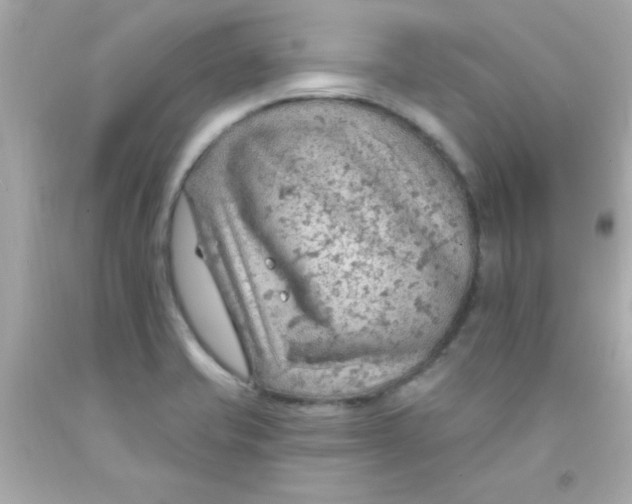 X0000093111421200710241233