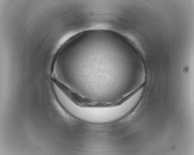 X0000093111422200710241233