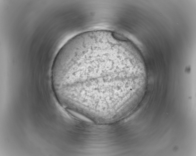 X0000093111423200710241233