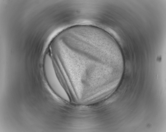 X0000093111424200710241233