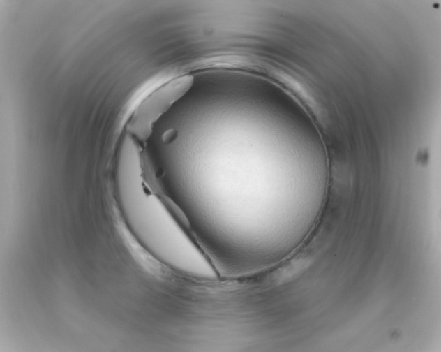 X0000093111426200710241233