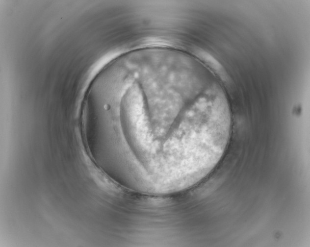 X0000093111427200710241233