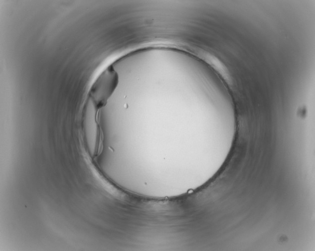 X0000093111428200710241233