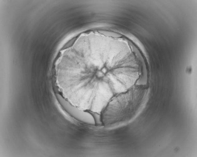 X0000093111429200710241233