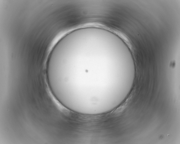 X0000093111430200710241233