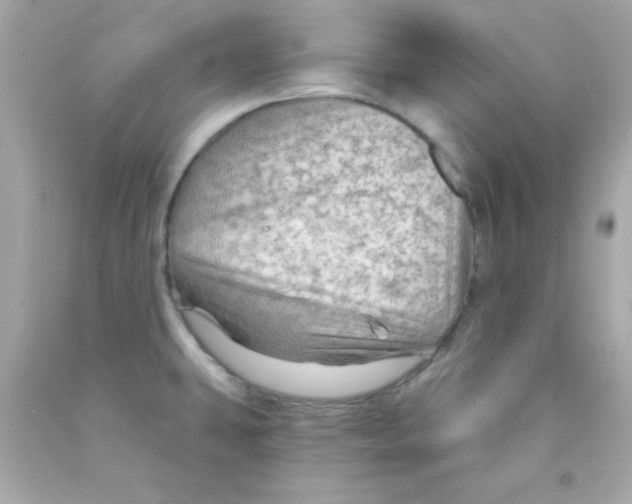 X0000093111431200710241233