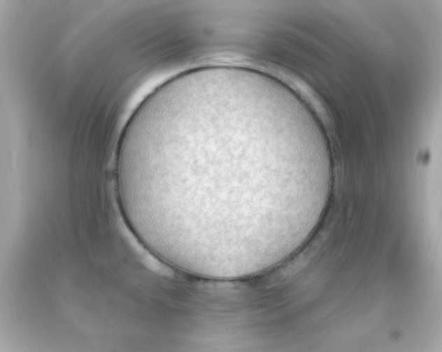 X0000093111432200710241233