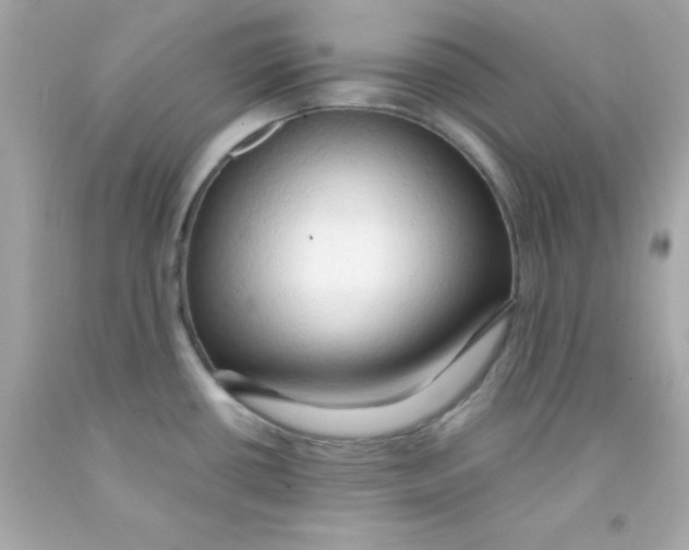 X0000093111434200710241233