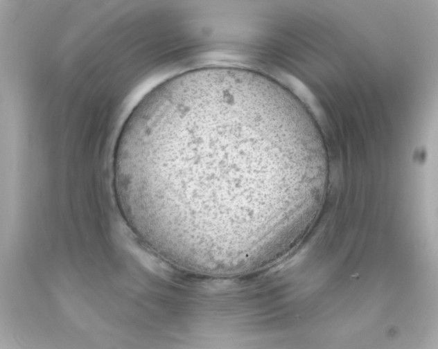 X0000093111435200710241233