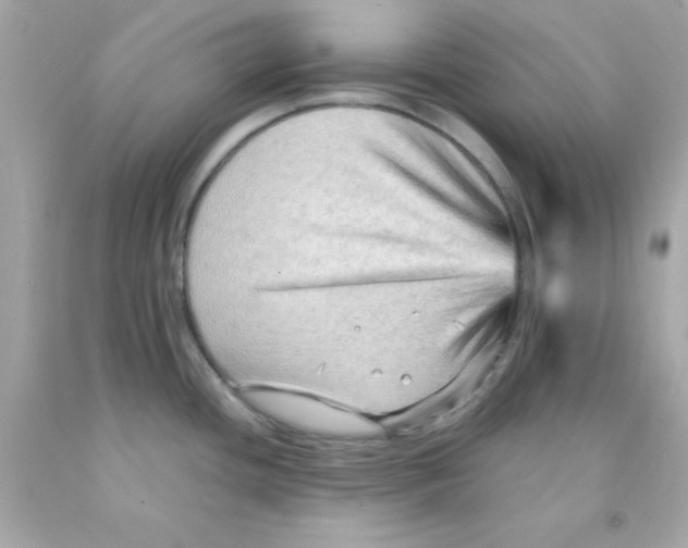 X0000093111436200710241233