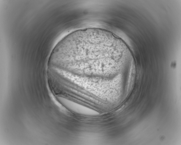 X0000093111439200710241233