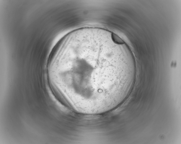 X0000093111440200710241233