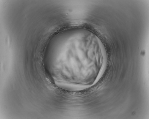 X0000093111441200710241232