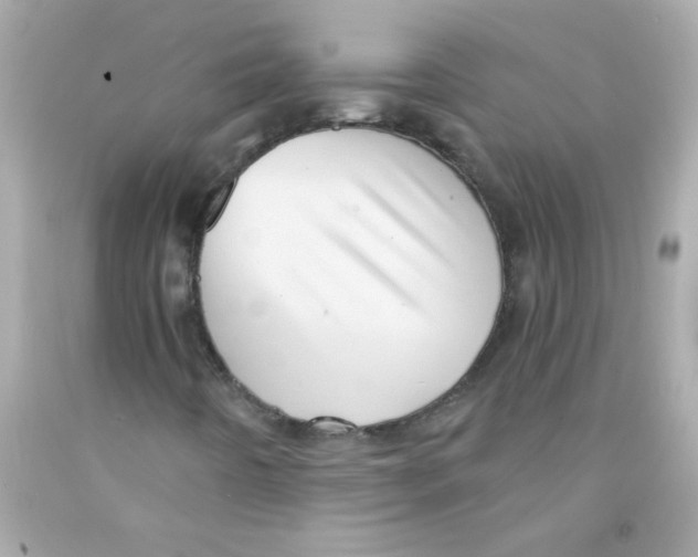 X0000093111442200710241232