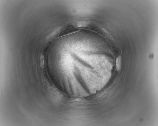 X0000093111443200710241232