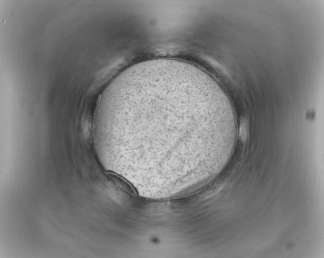 X0000093111444200710241232